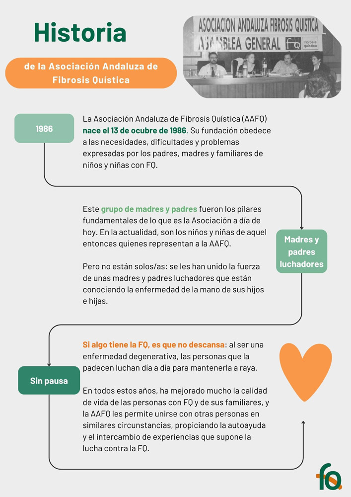 Historia de la organización