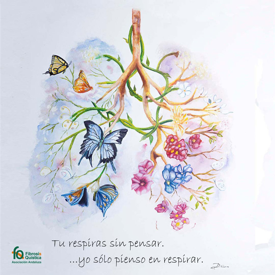 Imagen pulmones de la organización